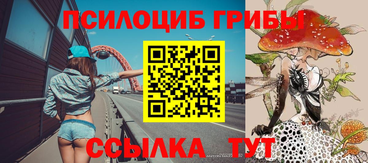 Галлюциногенные грибы Psilocybine cubensis  где продают   Галлюциногенные грибы прущие грибы  Шали  Вход с VPN 