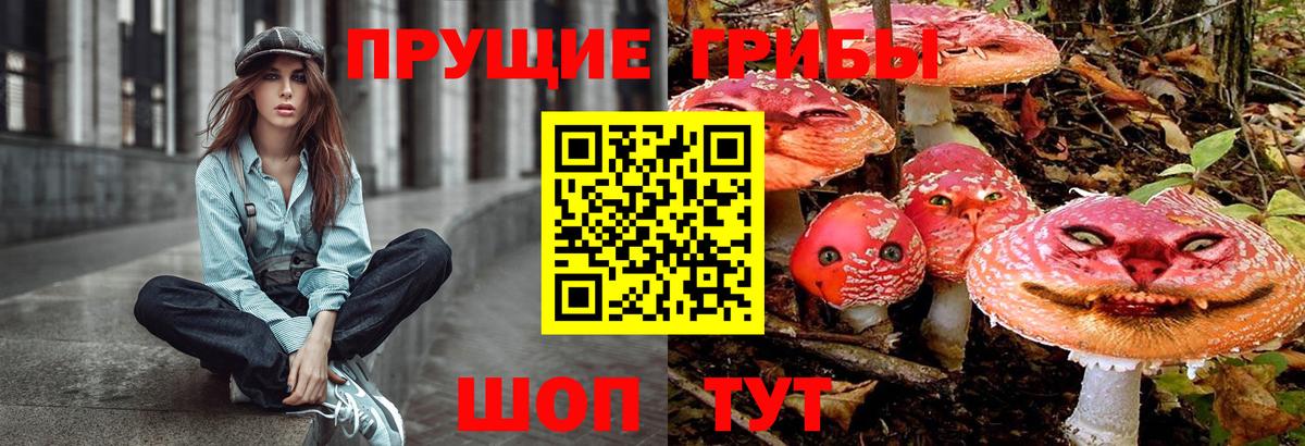 Псилоцибиновые грибы прущие грибы Шали